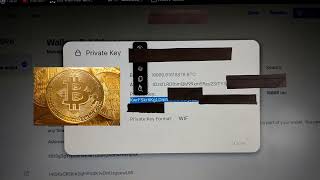 Bitcoin private key for sale with 10000BTC balance privatekeys 1000BTC privatekeywithbalanc BTC [upl. by Akimal132]