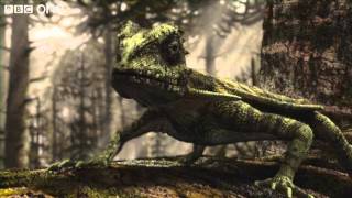 Flying Microraptor  Planet Dinosaur  Episode 2  BBC One [upl. by Ayel]