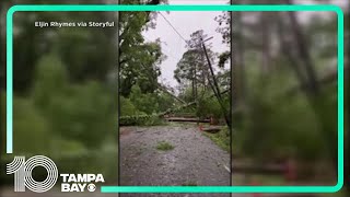 Possible Tallahassee tornado uproots trees downs powerlines leaves damage behind [upl. by Riccio]