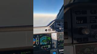 Airbus A350 Cockpit Tour inflight [upl. by Irovi]