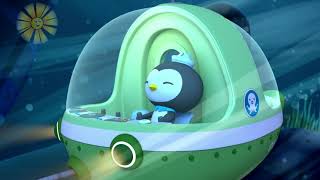 Octonauts  The Humphead Parrotfish [upl. by Soluk]