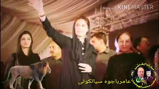 Mohran Sher Te Lawan Gy 🐆PMLN NEW SONG🐆 [upl. by Alwin954]