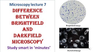 Differences between Brightfield and Darkfield microscopy  Microscopy lecture 7 [upl. by Etnoj]