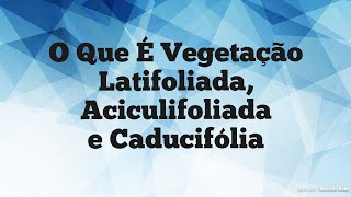 O Que É Vegetação Latifoliada Aciculifoliada e Caducifólia em 1 minuto [upl. by Rollie]