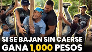 Si se bajan del palo sin caerse ganan 1000 pesos LASOCURRENCIASDEMISTIOS🤣🤣🤣🤣🤣 [upl. by Hadden534]