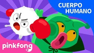 Sistema Inmunológico  Cuerpo Humano  Pinkfong Canciones Infantiles [upl. by Yssirk]