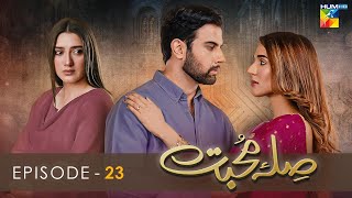 Sila E Mohabbat  Episode 23  HUM TV Drama  12 November 2021 [upl. by Stralka]