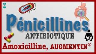 Les Pénicillines  TOUT Savoir  Antibiotiques AMOXICILINE AUGMENTIN Pharmacologie et Toxicité [upl. by Acirat731]