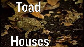 Building Toad Houses [upl. by Sinclair]