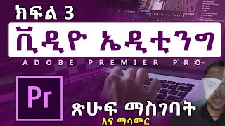 Video Editing in Amharic part 3  Adobe Premier Pro Amharic tutorial  Biruk INFO [upl. by Adin872]