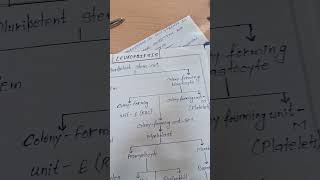 flowchart of leukopoiesis physiologynotesmbbsbams FULL VDO AVLBL ON CHNNEL [upl. by Ezekiel796]