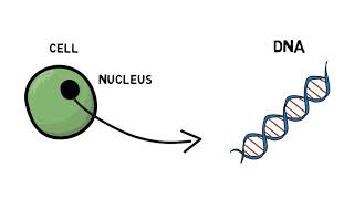 What is genetic testing [upl. by O'Shee735]