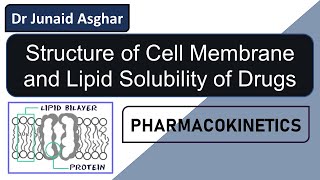 Cell Membrane  Lipid Solubility and Drug Absorption  Junaid Asghar PhD [upl. by Retluoc]