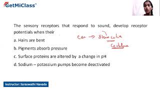 Receptor potentials [upl. by Noitsuj]