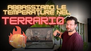 Consigli utili per RAFFREDDARE il tuo TERRARIO [upl. by Leraj559]