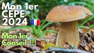 Mon 1er cèpe 2024 mon 1er conseil  cepes 2024 nature asmr [upl. by Lomaj]