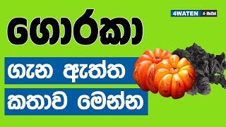 ගොරකා ගැන ඇත්ත කතාව මෙන්න  Benefits of Garcinia [upl. by Tiffany792]