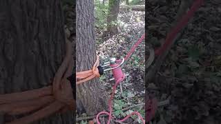 Remote Retrievable Rigging for Lifting Rigging StormDamage TreeWork Arborist Pulley Rope [upl. by Yaja]