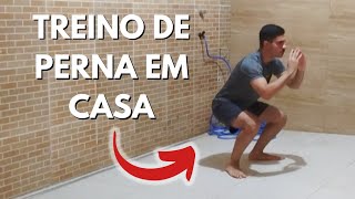 Treino de perna em casa  Treino rápido [upl. by Kruger]