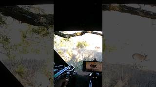 The sound that never gets old THWACK ministriker hunting deer [upl. by Blus]