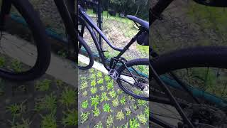 Giant Stance 2 29er 2022 youtubeshorts cycling gravelbike jeffkingvlogs mtb mountainbike [upl. by Jola861]