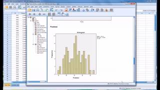 Conducting a ShapiroWilk Normality Test in SPSS [upl. by Ttoille]