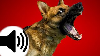 Dogs Barking Sound Effect [upl. by Stratton312]