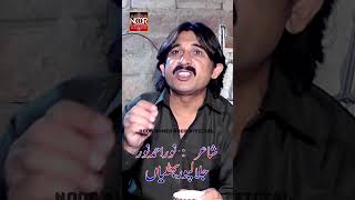 سدا شکوے رہ سانو غیراں تے Noor Ahmed Noor Poetry 2024 [upl. by Ellehc]