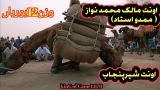 bahot bara mela malek ustad mamdo of jhok herran waale اونٹ شہر پنجاب [upl. by Cattier653]