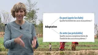 L’adaptation au changement climatique  une introduction [upl. by Winfrid]