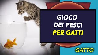 GIOCO DEI PESCI PER GATTI  GUARDATE LORO REAZIONE [upl. by Enyala]