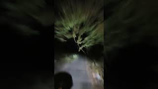 fear dance song phobia anpara uttarpradesh roadtrip travel [upl. by Crysta315]