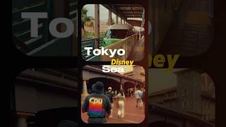 I Went To Tokyo DisneySea So You Dont Have To [upl. by Chaim]