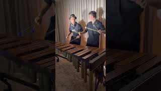 Swedish House Mafia  One  Marimba [upl. by Anilac436]