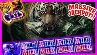 4 WILDS LINE HIT JACKPOT ON CATS SLOT PAYS MASSIVE DONT MISS THIS [upl. by Claudianus]