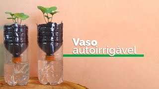 Vaso autoirrigável de garrafa PET [upl. by Yruam]