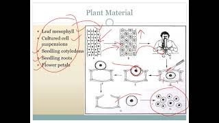 Protoplast Culture by Prof Sonali Saste [upl. by Einad]