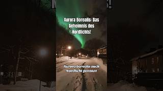 Aurora Borealis 🇳🇴🇨🇦 auroraborealis nordlicht wissenschaft [upl. by Inaej]