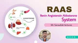 RAAS  Renin Angiotensin Aldosterone System in HindiUrdu RAAS by Mr Sanaullah [upl. by Elwee]