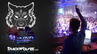 Luciano  Live  Ultra Music Festival Miami  28032014 [upl. by Onin]