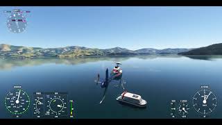 Flight Simulator  Akaroa Dolphins Cruise [upl. by Osnola790]