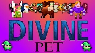 New Rotmg Pserver NOT HIMACHI DIVINE PETS EASY working 2017 READ DESC [upl. by Trebor788]