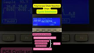 Steps of PCR PCR StepsOfPCR Denaturation Annealing Extension TaqPolymerase DNAAmplification [upl. by Gertrudis]