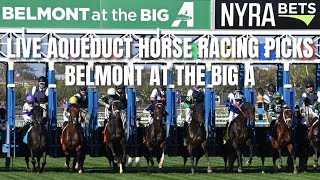 Live Aqueduct Horse Racing Picks  Belmont at the Big A [upl. by Dahle]