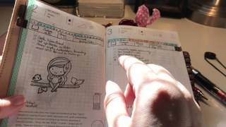 How I Use the Hobonichi Planner [upl. by Aicia]