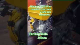 Motor parazzini 13hp completo con rosca y cuña reparacion taller restauraciones [upl. by Rebmac456]