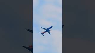 Southwest Airlines Boeing 737Max8 departing from BWI Airport shorts short shortvideo youtube [upl. by Lanae]