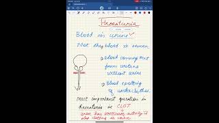 Clot in Hematuria  Urinary bladder tumor possibility [upl. by Ahserb]