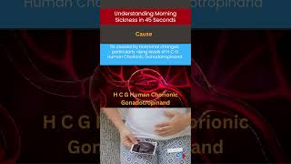 Understanding Morning Sickness in 45 Seconds  Med About You [upl. by Darrey158]