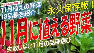 11月に植える野菜（13品種）永久保存版 [upl. by Sewel]